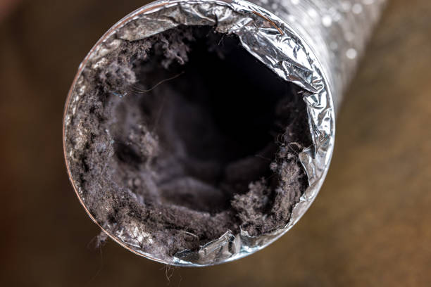 Best Air Vent Cleaning Services  in Jeffersonville, KY